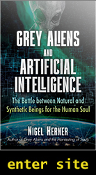 Grey Aliens and Artificial Intelligence - Book Cover